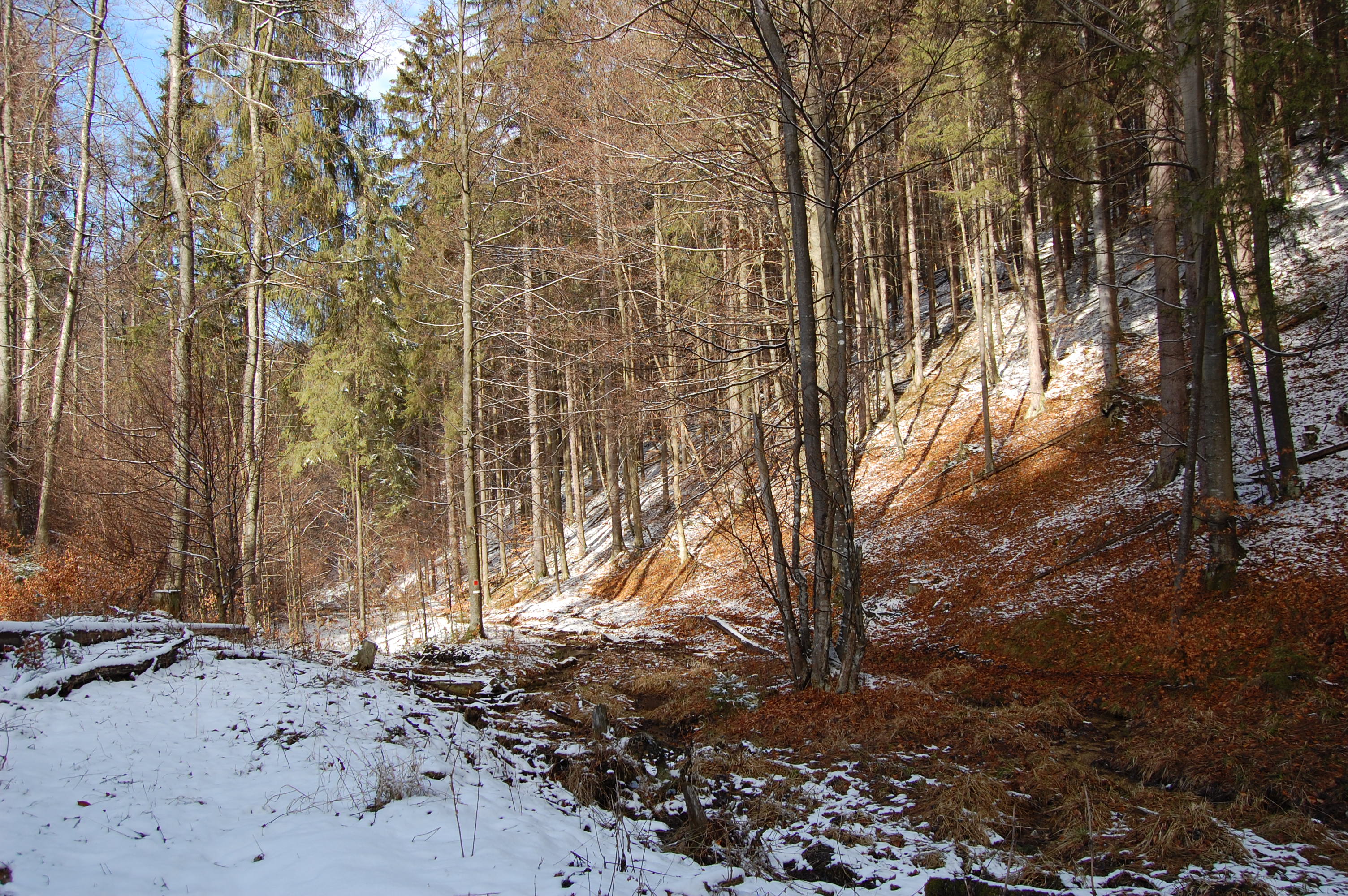21.-23.3.08. 240.jpg