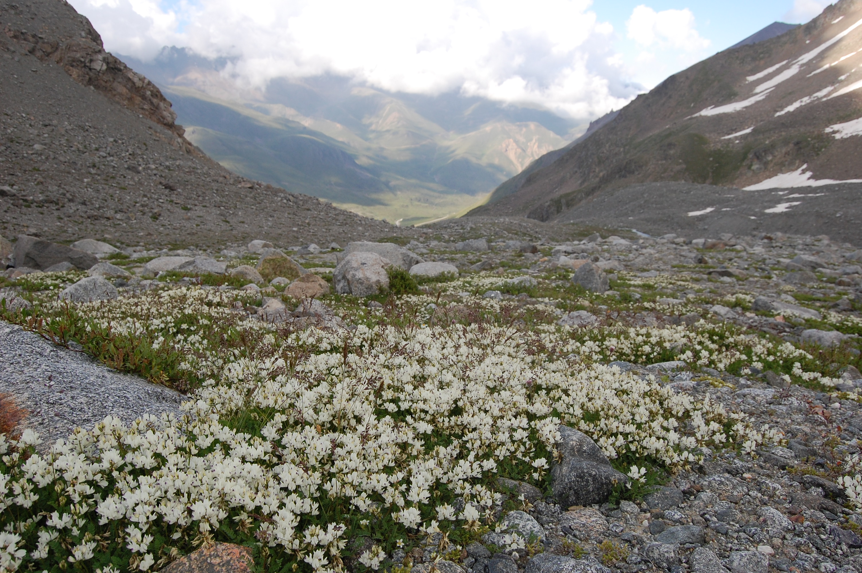Kavkaz 12.7.-4.8.2008 484.jpg